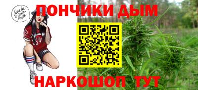 jwh Можга