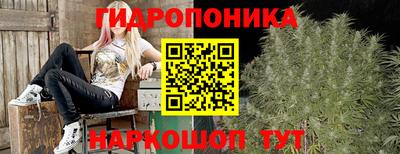 соль ск Нальчик